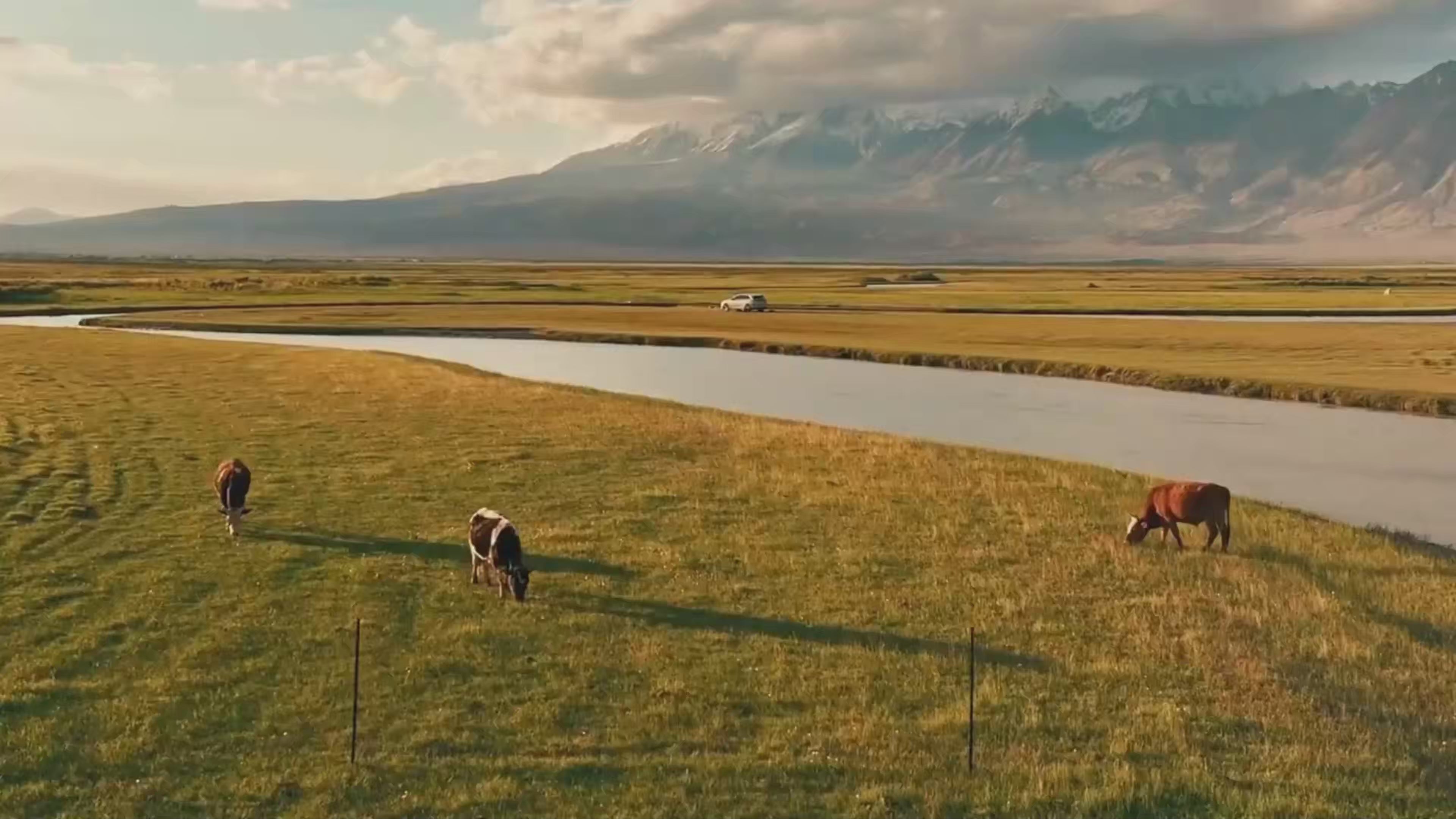 Load video: 