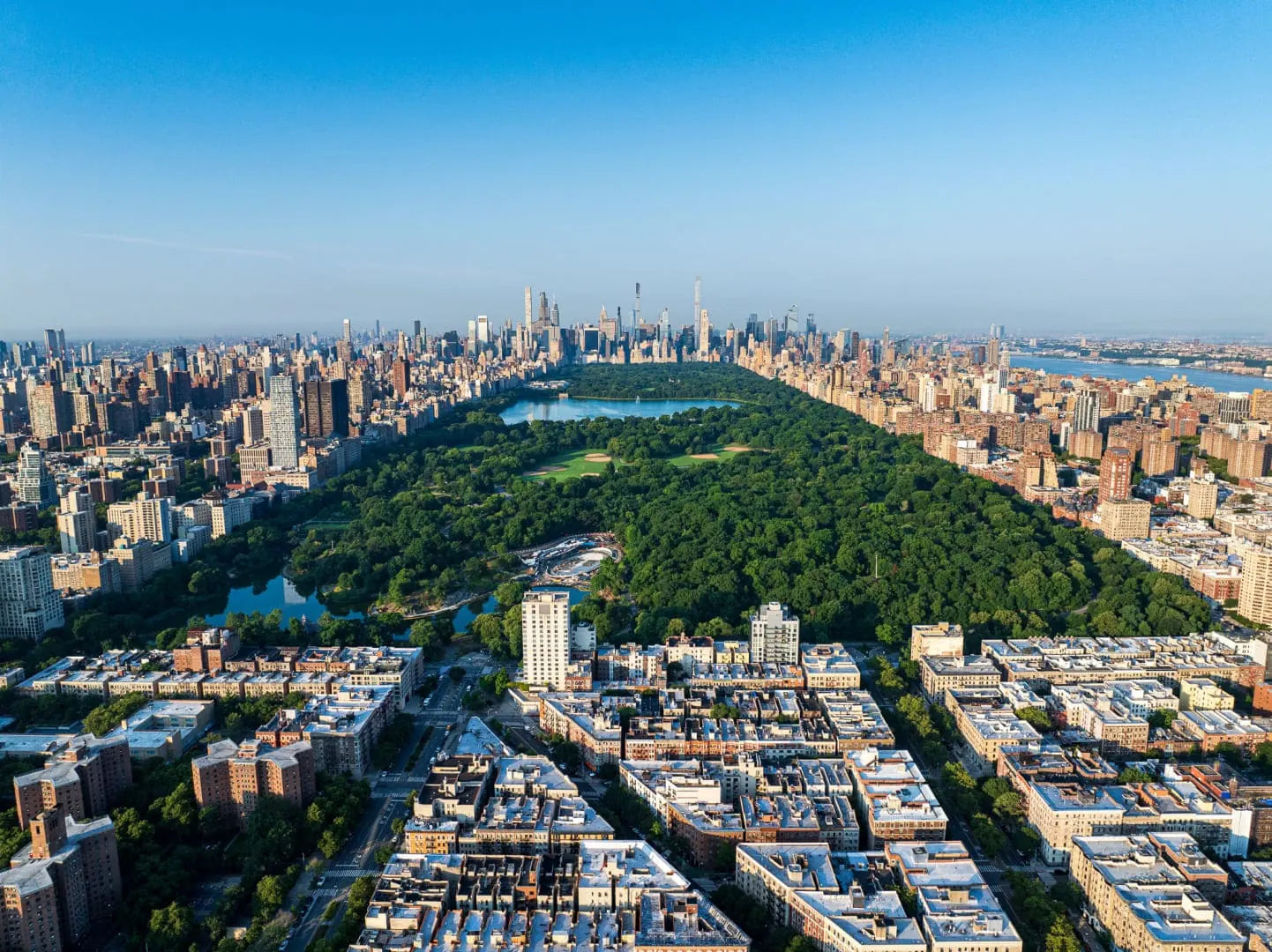 Central Park and the New York skyline